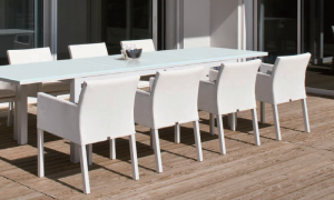 Lees meer over het artikel Tuinset wit